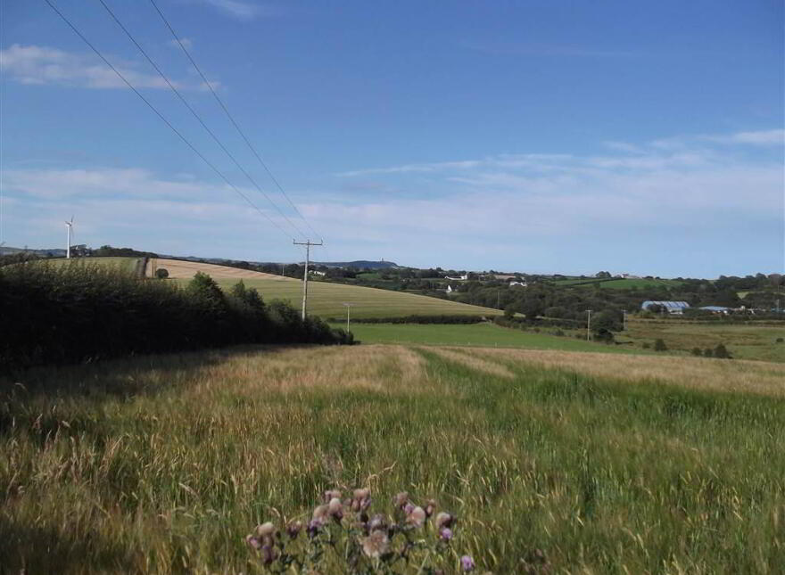 22 Acres At, The Brae, Ballygowan, BT23 5TJ