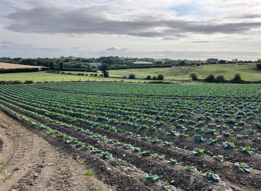 22 Acres At, The Brae, Ballygowan, BT23 5TJ