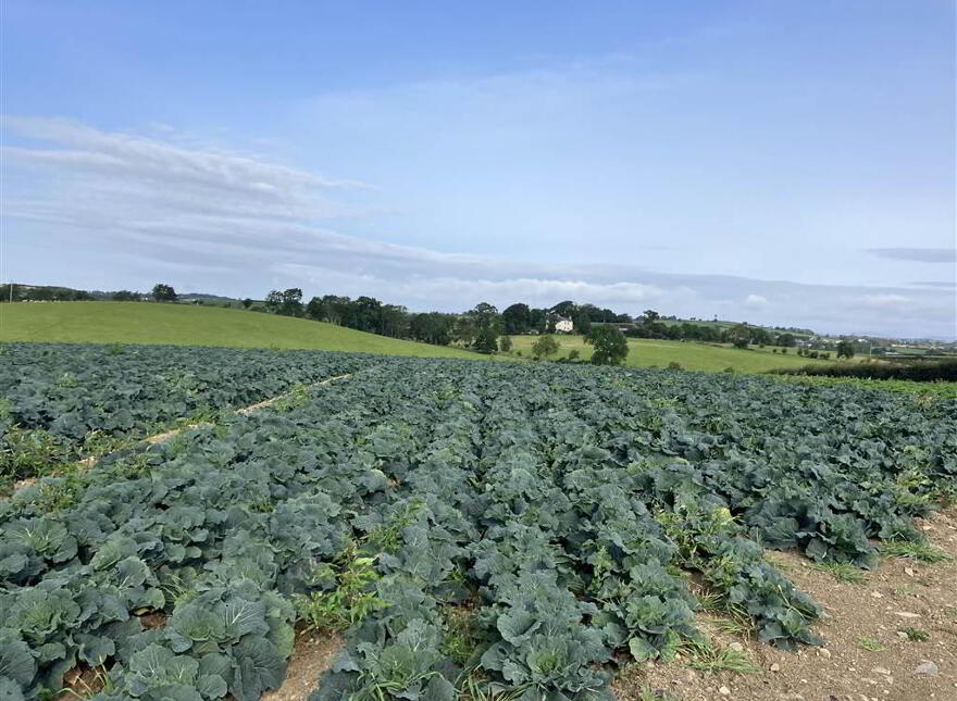 22 Acres At, The Brae, Ballygowan, BT23 5TJ