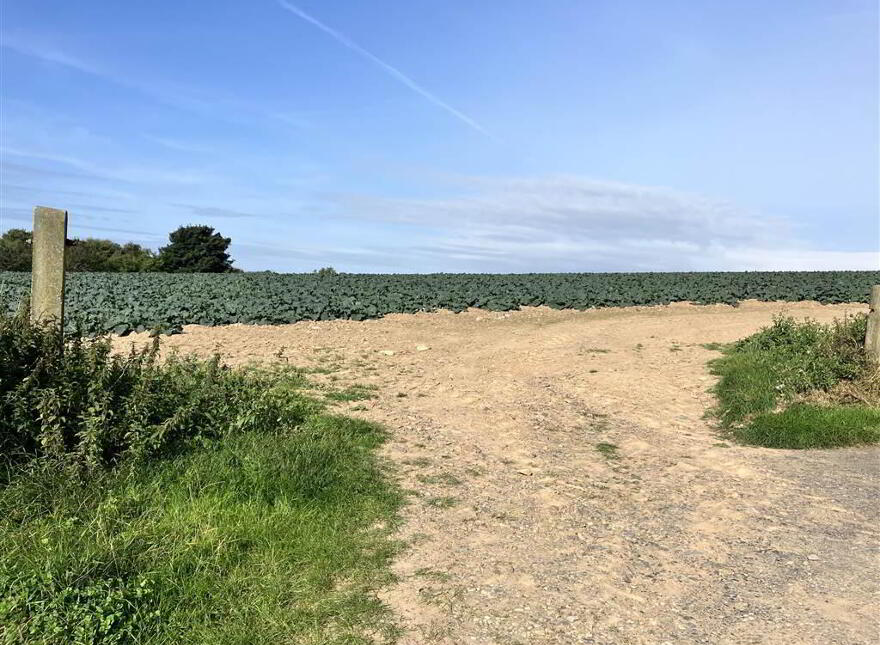 22 Acres At, The Brae, Ballygowan, BT23 5TJ