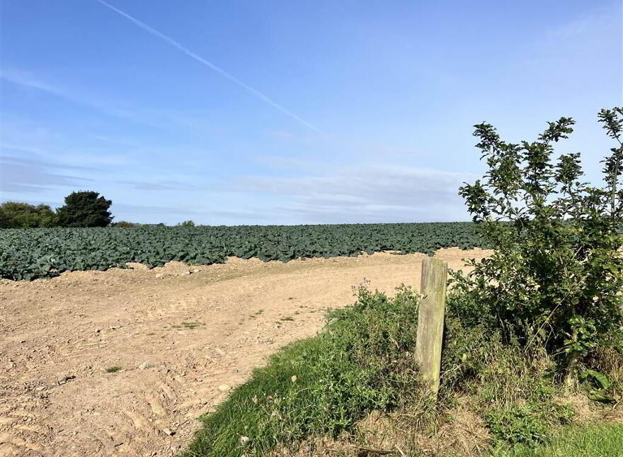 22 Acres At, The Brae, Ballygowan, BT23 5TJ