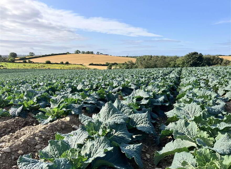 22 Acres At, The Brae, Ballygowan, BT23 5TJ photo
