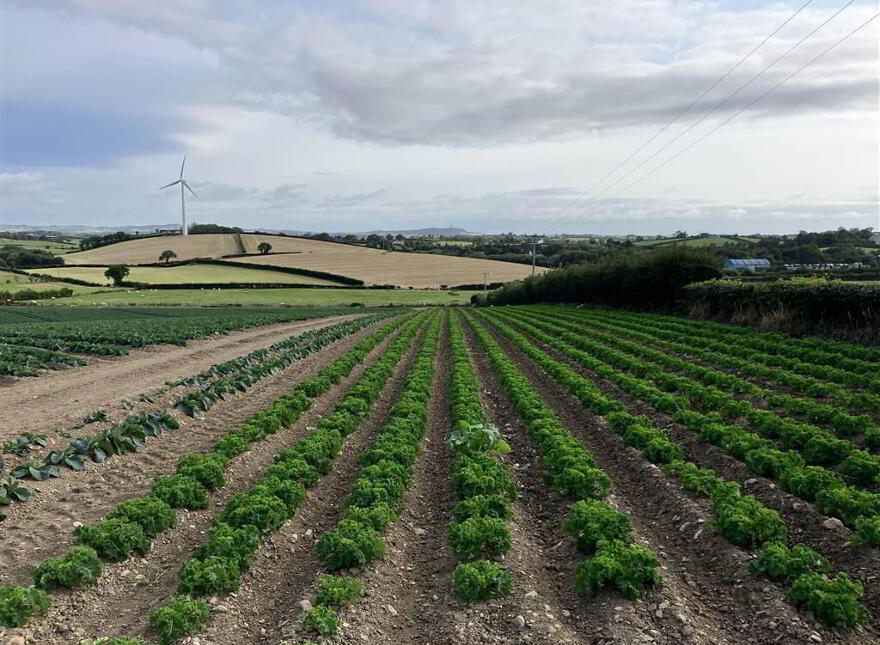 22 Acres At, The Brae, Ballygowan, BT23 5TJ