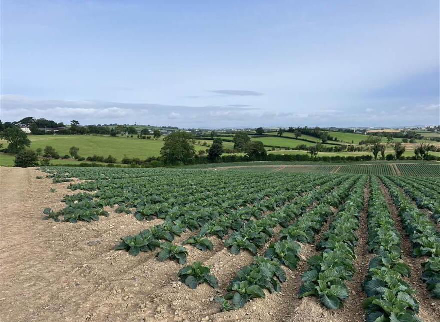 22 Acres At, The Brae, Ballygowan, BT23 5TJ
