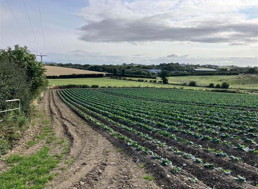 22 Acres At, The Brae, Ballygowan, BT23 5TJ