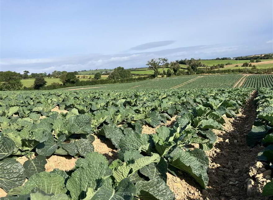 22 Acres At, The Brae, Ballygowan, BT23 5TJ
