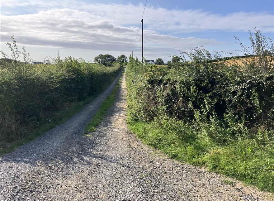 22 Acres At, The Brae, Ballygowan, BT23 5TJ