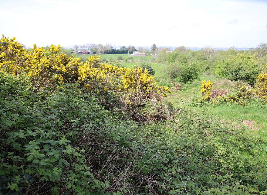 60 Lismoyle Road, Kilrea, BT51 5UH photo