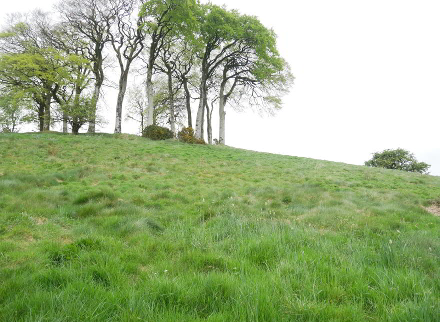 Edenmore, Edenmore Lane, Tempo, BT94 3HU