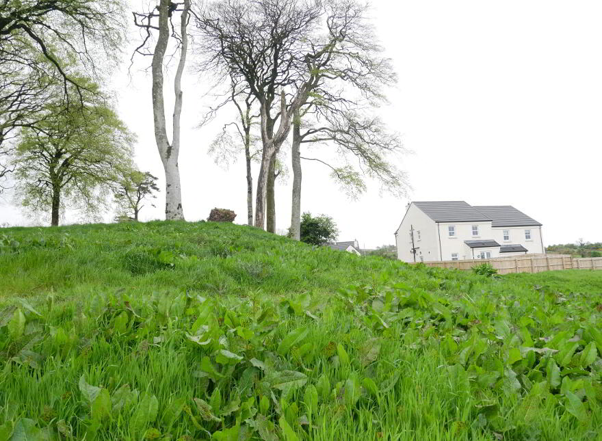 Edenmore, Edenmore Lane, Tempo, BT94 3HU