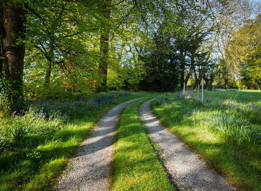 Riverview House, Mishells, Bandon, P72P867