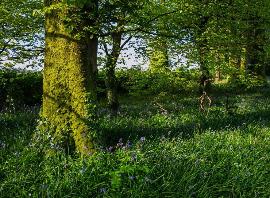Riverview House, Mishells, Bandon, P72P867