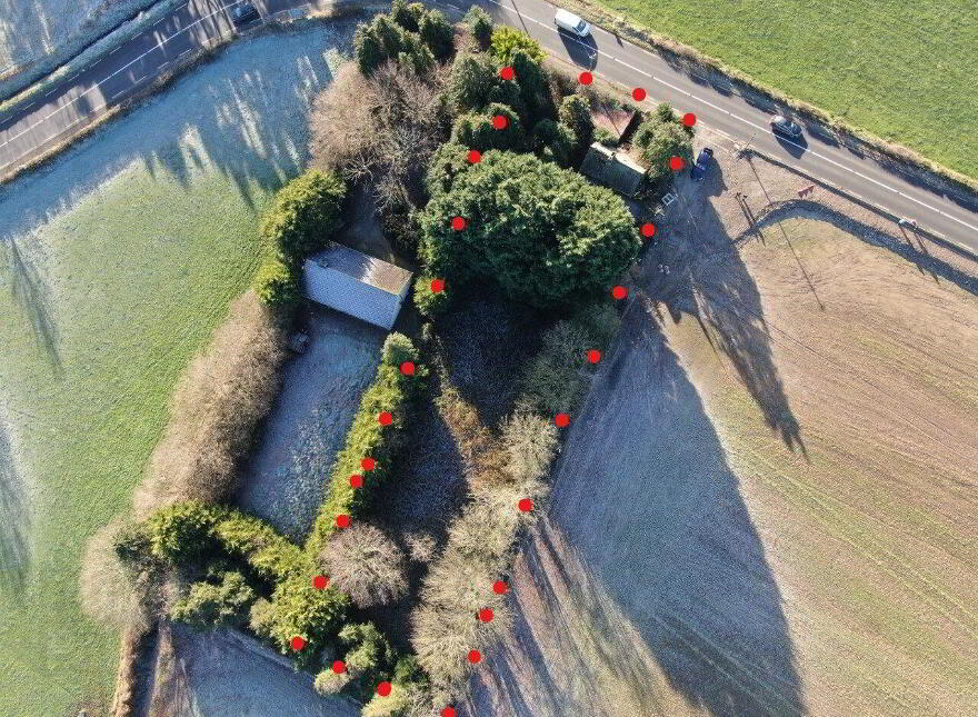 Tomduff, Enniscorthy, Y21T10D photo