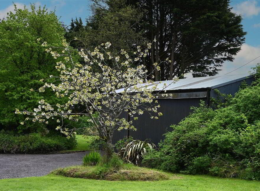 The Willows, Ballinvarosig, Carrigaline