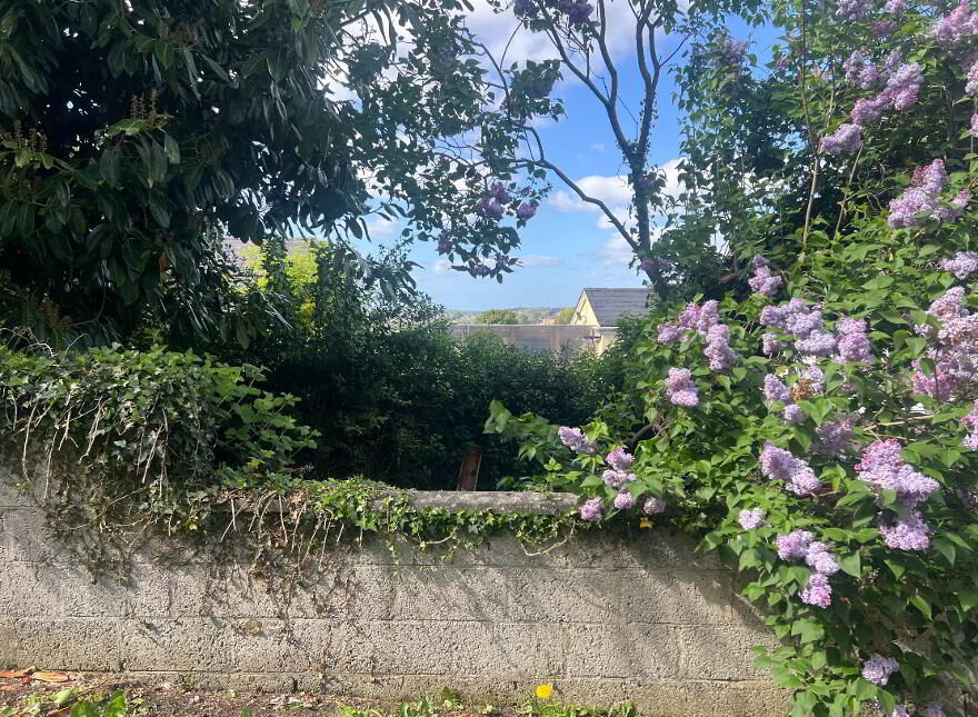 31 Cowan Street, Newry, BT34 2AR