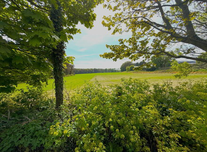 Site At 32 Springvale Road, Ballywalter, BT22 2RS