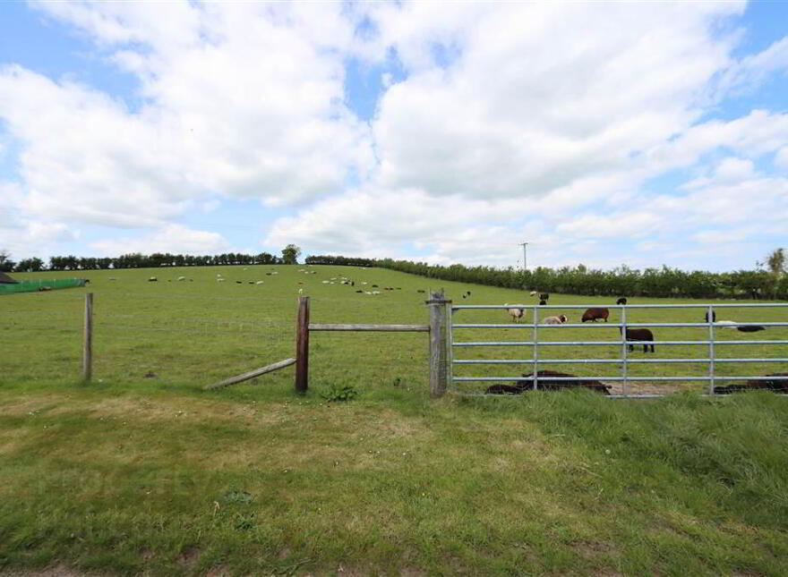 Between 24-28, Lough Road, Crossgar, Downpatrick, BT30 9DT photo