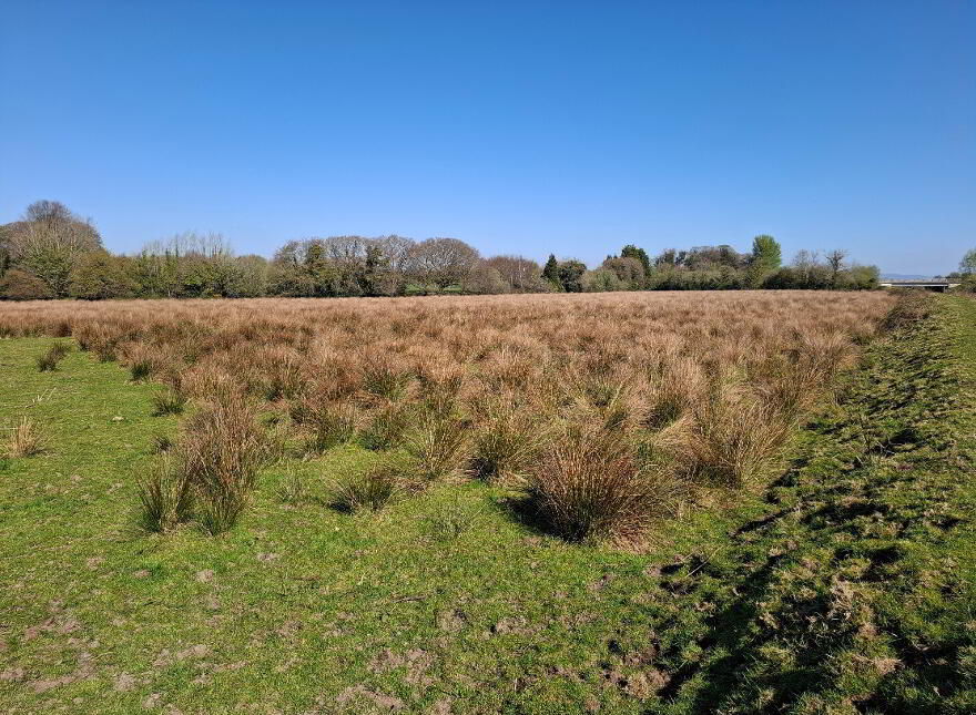 Clooney Road, Maydown, Londonderry, BT47 6TL