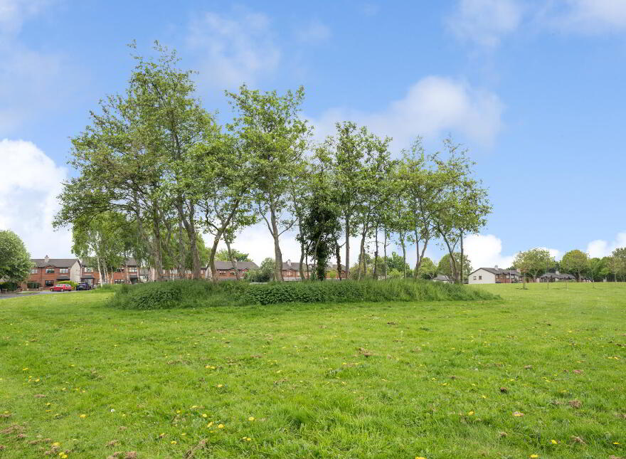 14 Abbeywood Way, Lucan, K78WY88