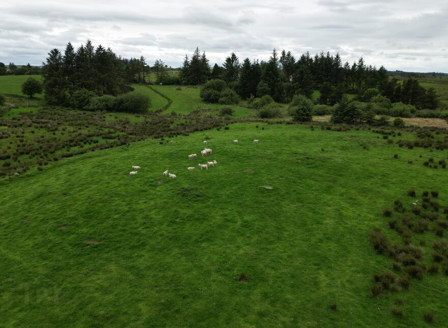 Beaghmore Road, Tulnacross, Cookstown