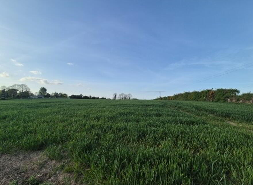Rathmore,,, Tullow, photo