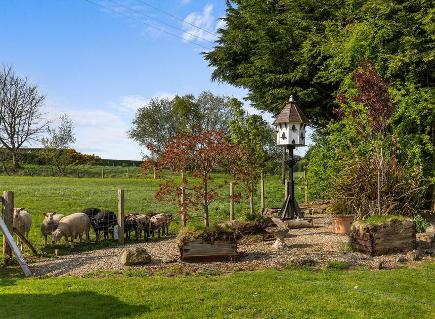 8 Cloughwater Road, Ballymena, BT43 6SY