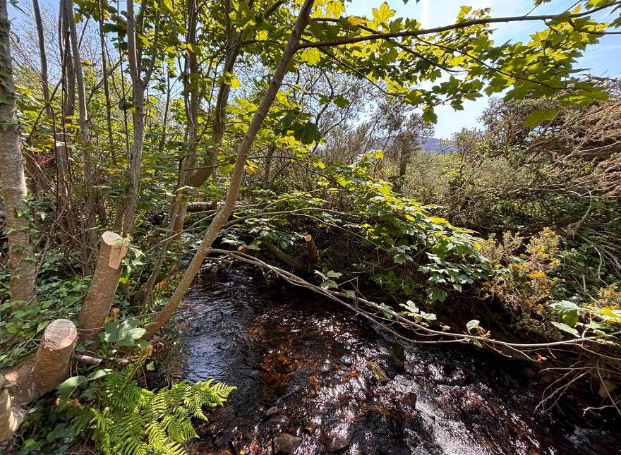 Mountanglesby, Clogheen, Cahir, Co. Tipperary, E21E025