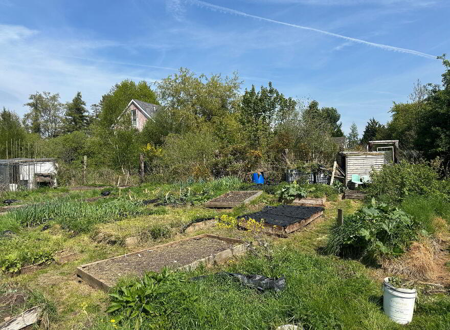 Mountanglesby, Clogheen, Cahir, Co. Tipperary, E21E025