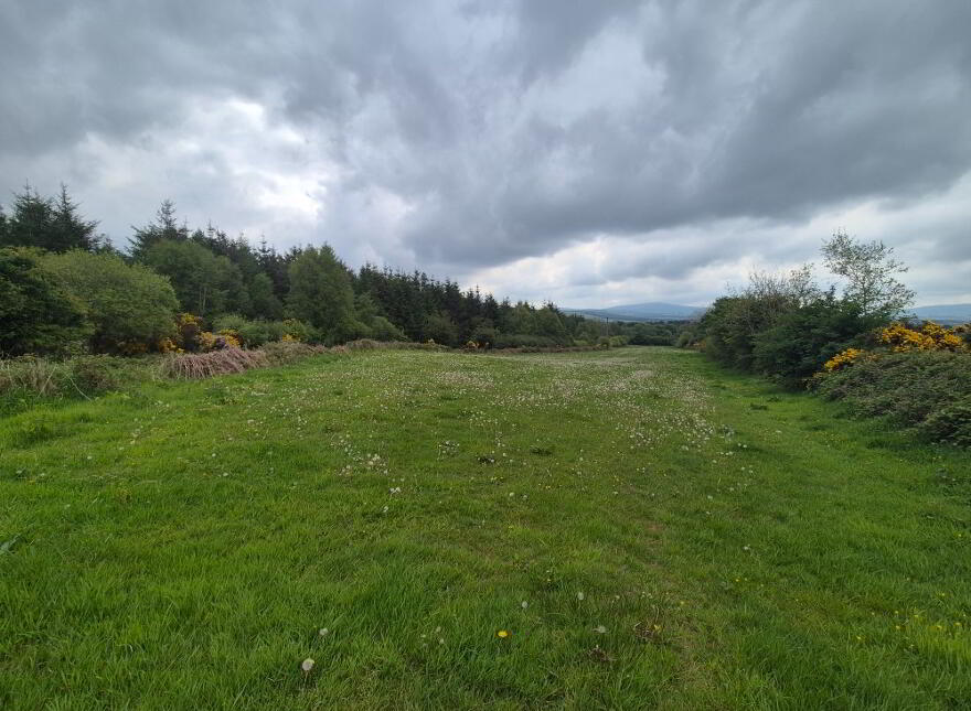 Slievereagh Lower, Rathdangan photo
