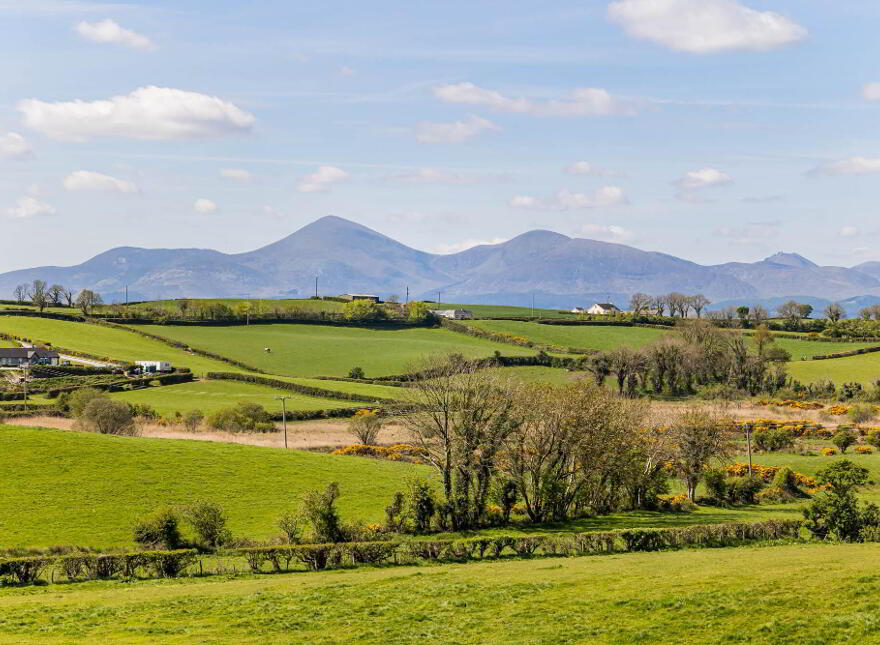 43 Tobercorran Road, Downpatrick, BT30 8HU