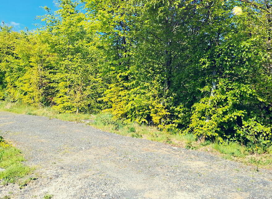 Portagaria Wood, Leggs, BT93 2BG