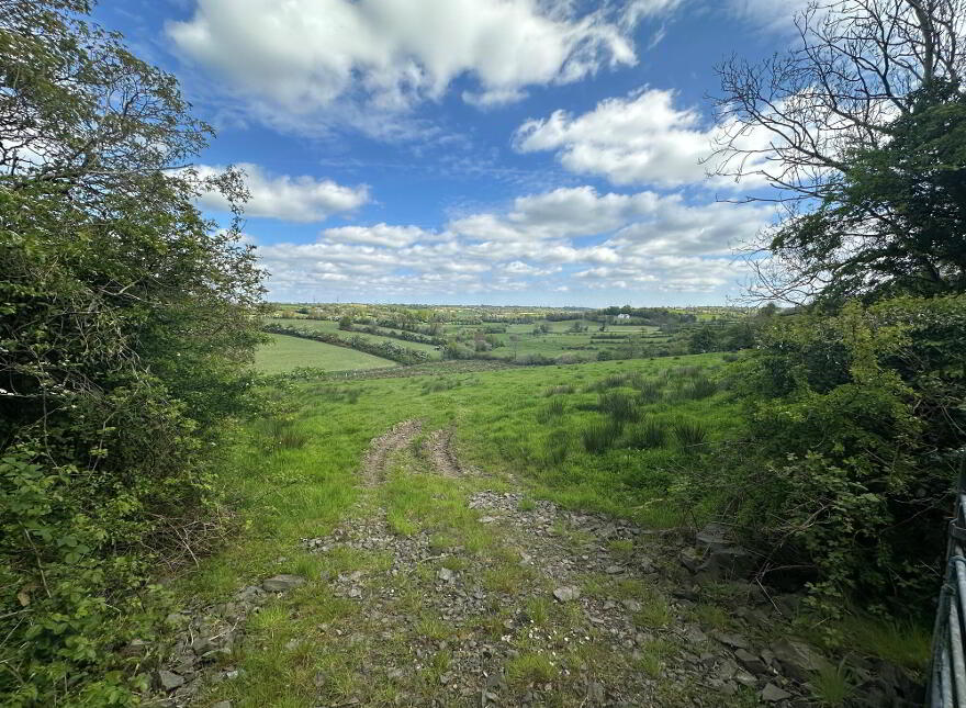 Drumiller Hill, Dromore, BT25 1EP photo