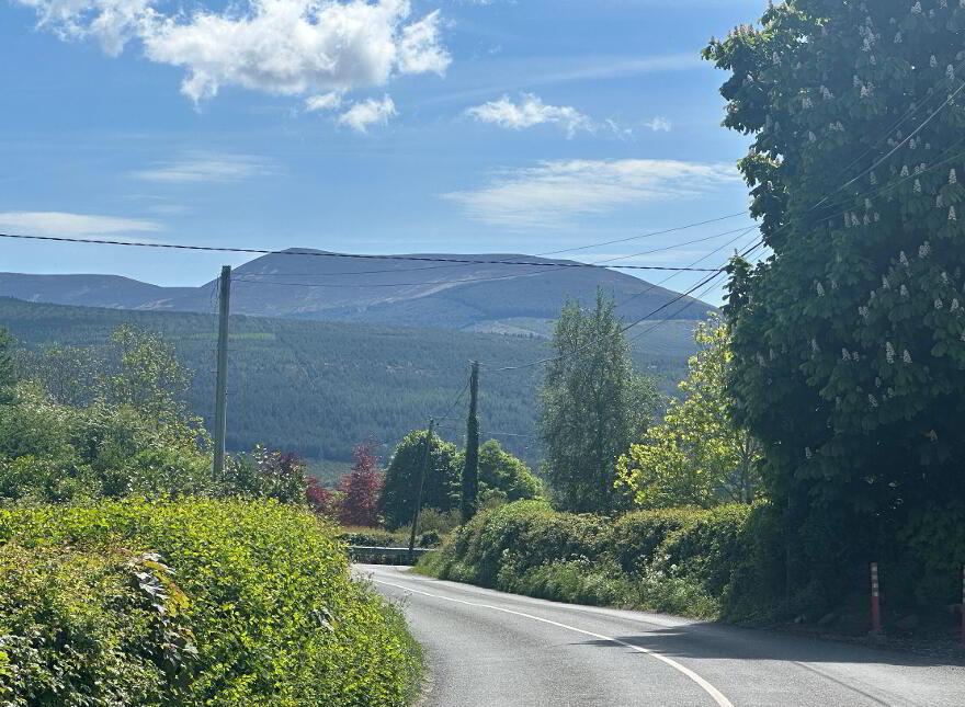 Poulatar, Ardfinnan, E91Y300