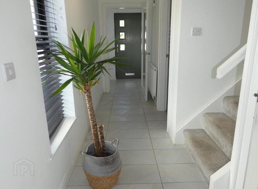 3 Millbrooke Avenue, Ballymoney, BT53 7FL