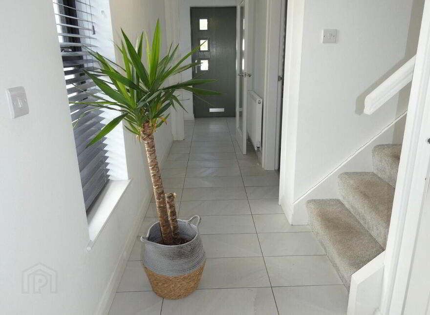 3 Millbrooke Avenue, Ballymoney, BT53 7FL