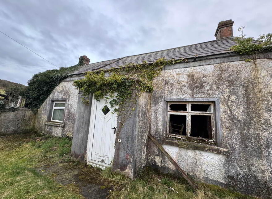 Derelict Cottage At Carrickaneena, Dundalk, A91HW93 photo