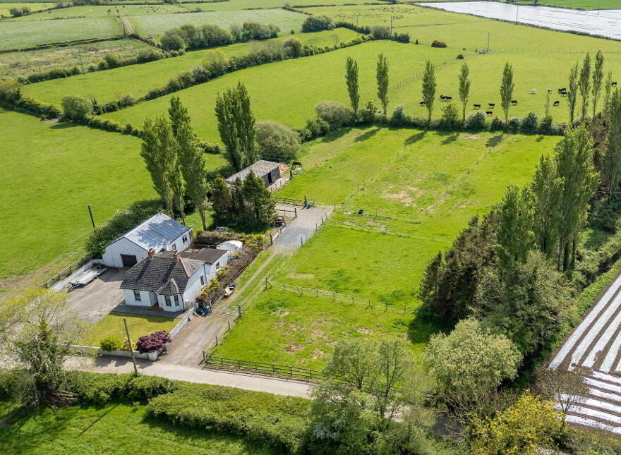 A Country Cottage With Paddock, Stables And Garage, 3 Hillsborough Road, Moira, BT67 0HG