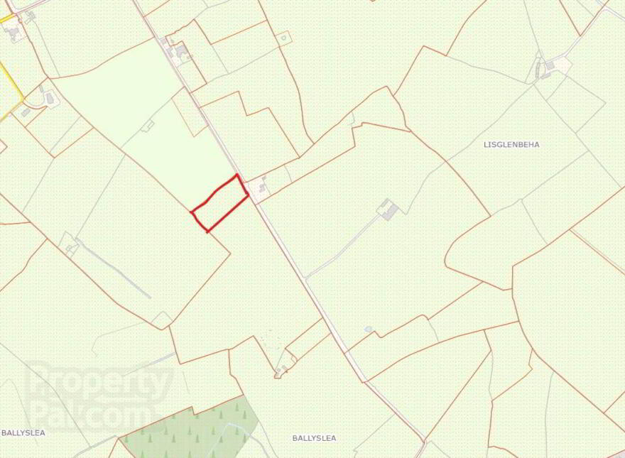 C. 1 Acre (0, 40 Hectares) Site, Roscrea, AT photo