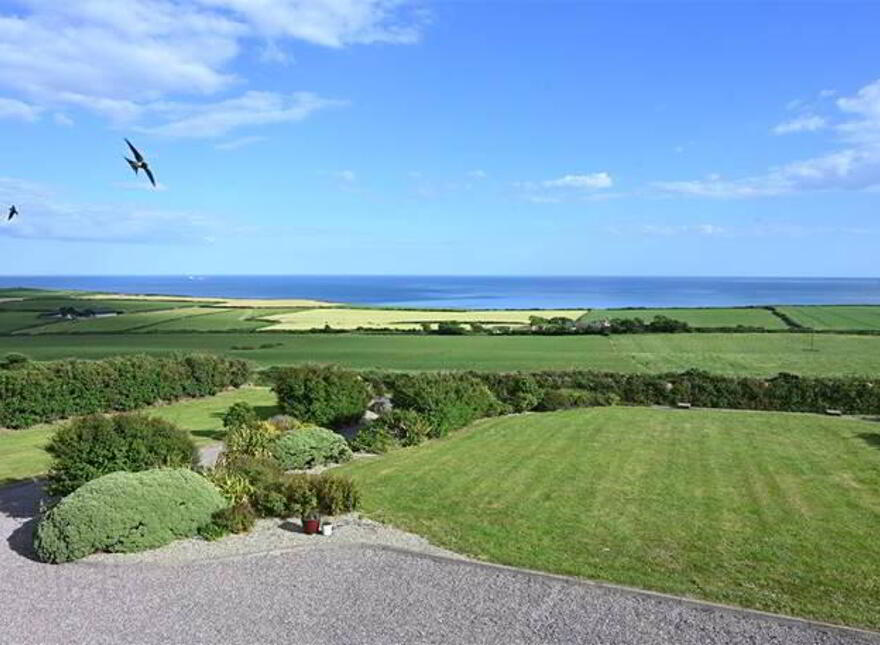 Nohoval Cove, Kinsale