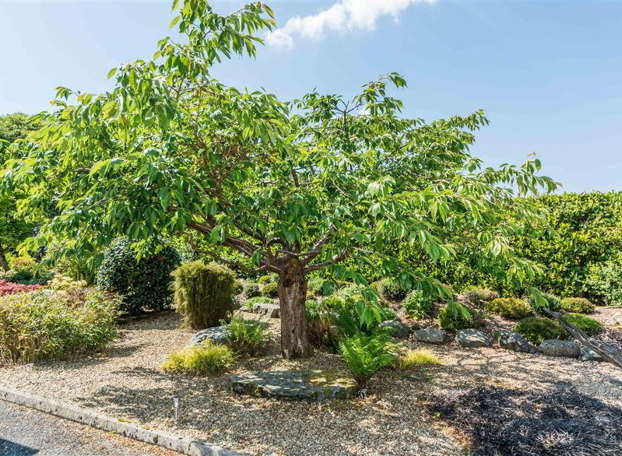 7 Heatherfields, Ardnageehy, Bantry
