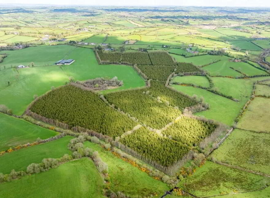 Maghernaharney, Rockcorry, H18EY02
