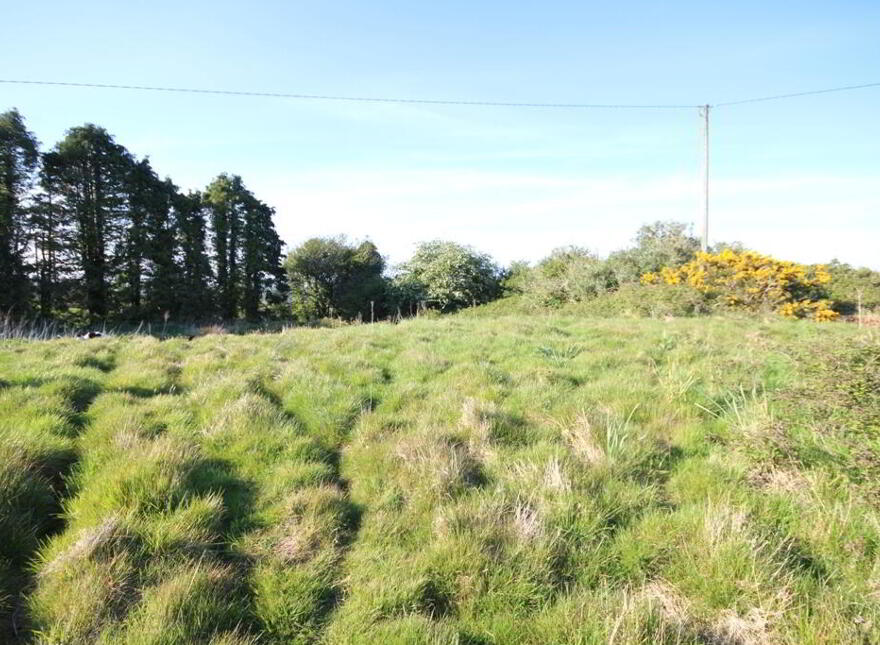 Castlelands, Enniskeane, Ballineen, P47A378