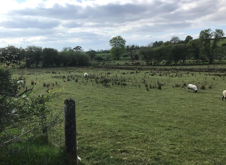 Killycappy Road, Largy, Lack