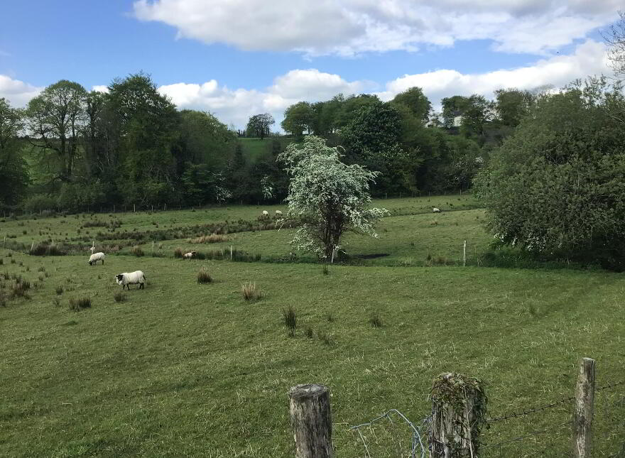 Killycappy Road, Largy, Lack