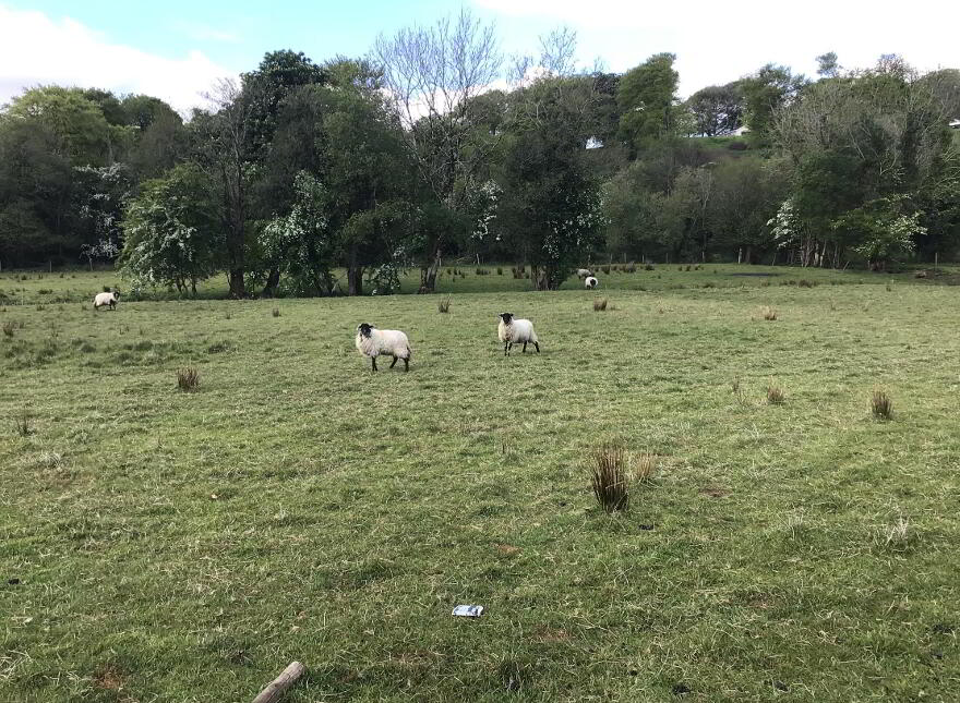 Killycappy Road, Largy, Lack