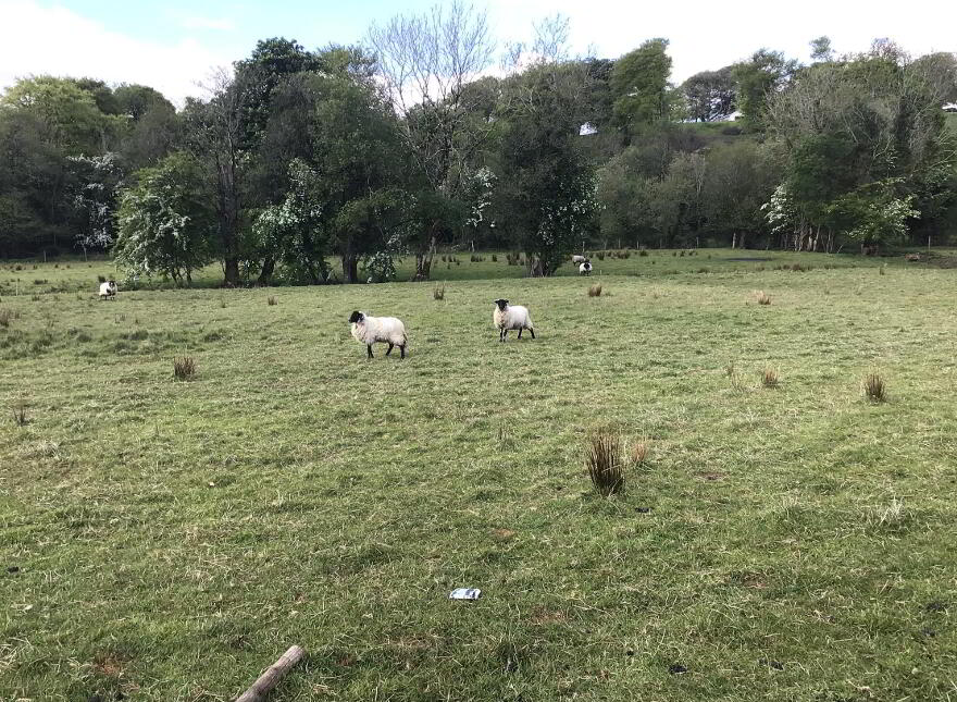 Killycappy Road, Largy, Lack