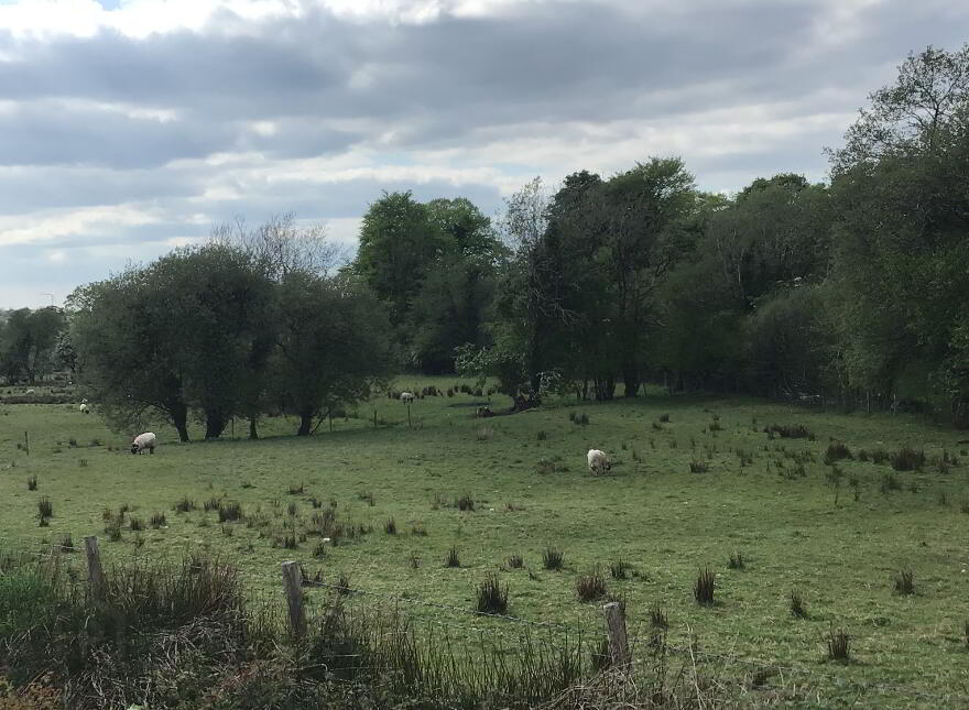 Killycappy Road, Largy, Lack