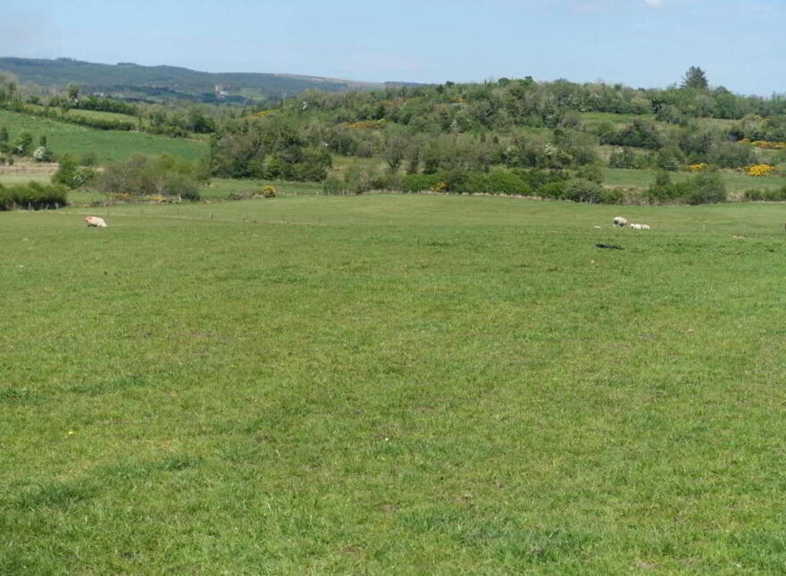 125 Eshnadarragh Road, Roslea, Enniskillen, BT92 7JY