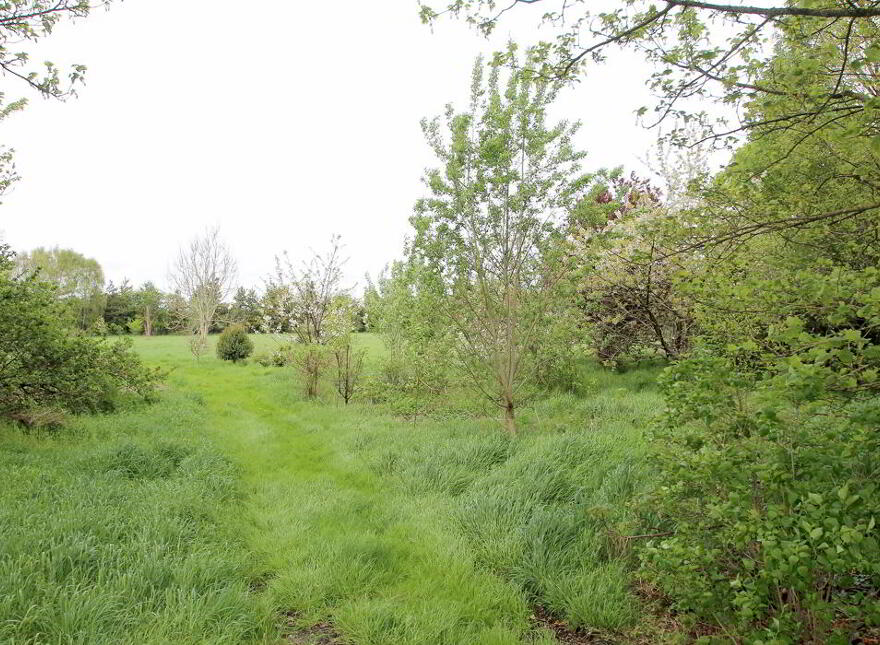 Barony House, The Meelaghans, Tullamore, Offaly, R35H7T2