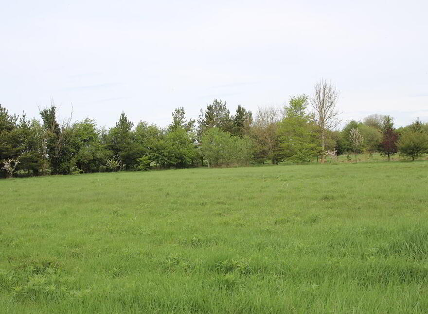 Barony House, The Meelaghans, Tullamore, Offaly, R35H7T2